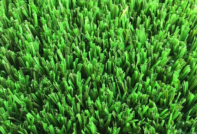 足球場(chǎng)人造草坪