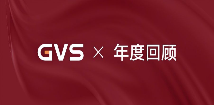 GVS 2024年終總結，請您查收